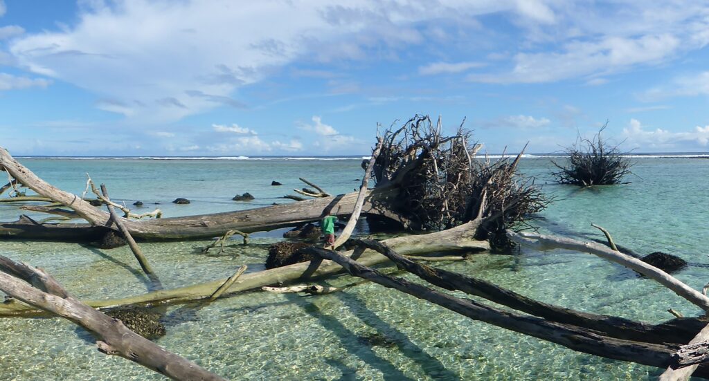 Navigating New Waters: NASA Reports Significant Sea Level Rise in Earth's Hottest Year