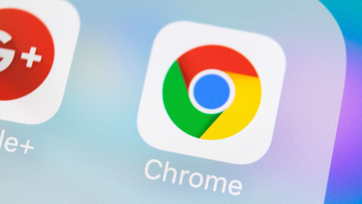 Google Accidentally Reveals Details About Its New Android Design Language: Material 3 Expressive